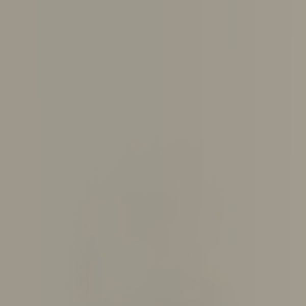 63 - Grey F3
